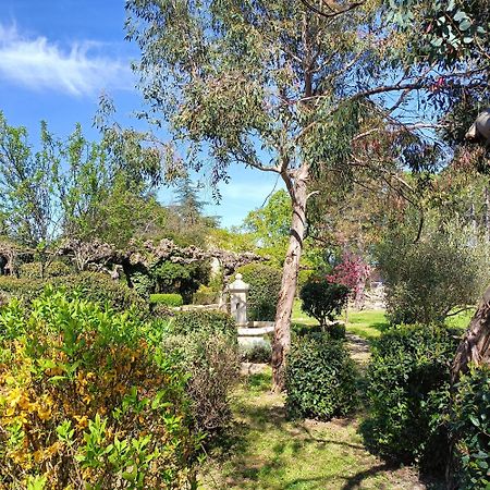 ChandolasL'Arbre Du Magnan别墅 外观 照片